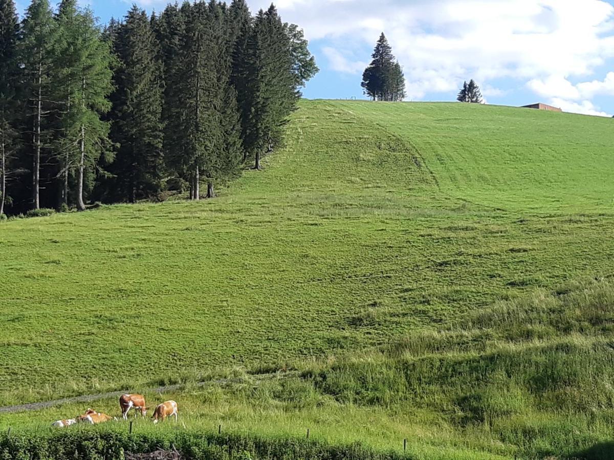 Gasthof Klug Zum Ehrensepp Modriach Exteriör bild